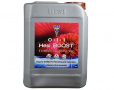 Hesi Boost